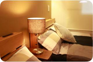 nearest jr SOBU LINE SHINKOIWA STR,TOKYO STR 15 MIN ,SHINJUKU 25 MIN, DISNEY 30 MIN - 2