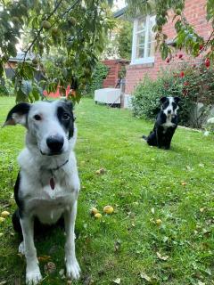 Once in a Blue Room - 2