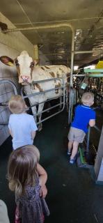 Ferienhof Schiefen - Urlaub auf dem Bauernhof - Eitorf - 4