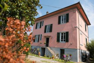 Villa Sunrise - Lucca - 8