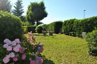 Villa Sunrise - Lucca - 7