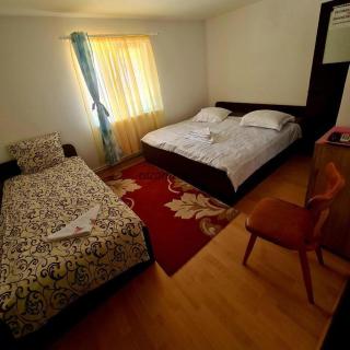 Lepsa home - Tulnici - 2