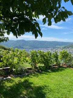Apartment an der Mosel 1 - 4