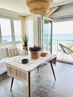 Amazing New Torrox premium front SEA - 5