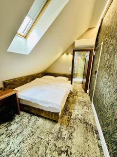 Villa & Restaurant Levoslav House - Sibiu - 7