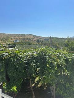 Royals, Mesi Bridge - Shkodër - 3