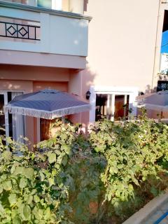 RosaMaria's Garden - 8