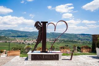 Castrum Wine Relais - San Pietro in Cariano - 6