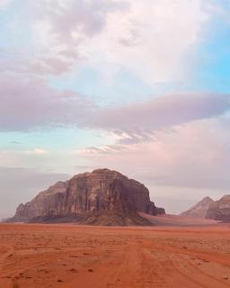 Wadi Rum Moon & Tours - Wadi Rum - 5