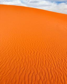Wadi Rum Moon & Tours - Wadi Rum - 6