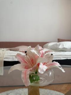 Tihi Kutak Apartman - Sarajevo - 6