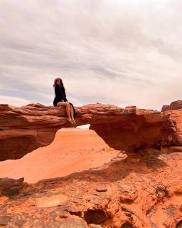 Wadi Rum Moon & Tours - Wadi Rum - 8