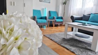 Dream Rental Pirot Apartman - 8