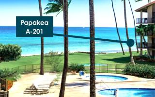 KBM Resorts FREE CAR Papakea Oceanfront 1-Bedroom Corner Unit with King bed and Unobstructed views PKA-201 - 9