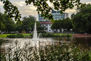 Cozy apartment, great location - Bremerhaven - 2