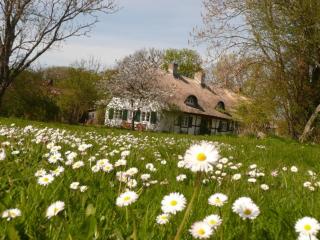 Reethaus Rosengarten Rügen gegenüber Hiddensee - Whg Strauchrose im DG - 0