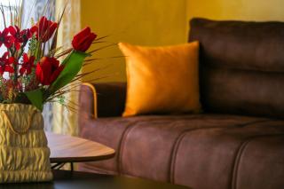 Harmony Apartment 2 - Kravlja - 9