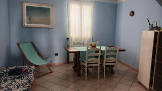 Plumbago - 2