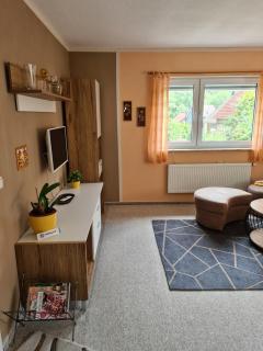 Ferienwohnung Beatrice - Zella-Mehlis - 5