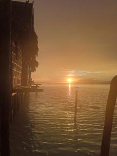 Blacktive Homestay - 4