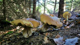 Hájenka Nebe-apartmán NEBE - 6