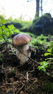 Hájenka Nebe-apartmán NEBE - 7