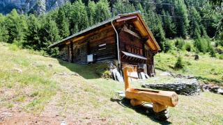 Mayen Praz dau Lauc Charme et nature 4 personnes - 8