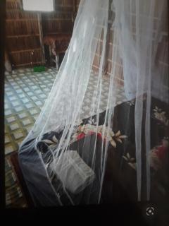 Blacktive Homestay - - 8
