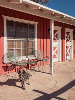 Room 3 - Downtown Joshua Tree Motel - Pet Friendly - Walk to Shops & Visitor Center, Minutes to Park Entrance - Joshua Tree - 6