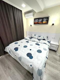Excellent apartaments tolstoi str - 9