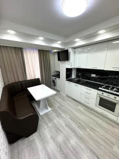 Excellent apartaments tolstoi str - 4
