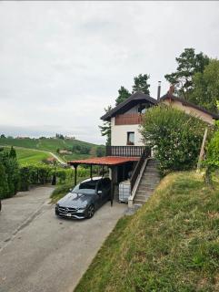 Hilltop vineyard house - 5