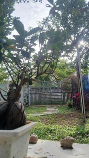 geola Homes marari - Mararikulam - 6