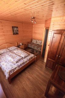Pensiunea Casa Iulia Transalpina - Sebeş - 5