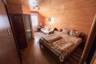 Pensiunea Casa Iulia Transalpina - Sebeş - 0