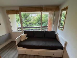 Studio cabine avec balcon et équipements pratiques - FR-1-557-54 - Les Adrets - 0