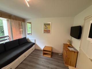 Studio cabine avec balcon et équipements pratiques - FR-1-557-54 - 3