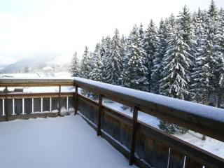 2 pièces au pied des pistes, 6 couchages - FR-1-557-35 - 3