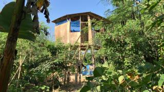 Organic Food Forest And Camp - Hohoe - 0