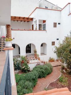 Casita Olivia - 4
