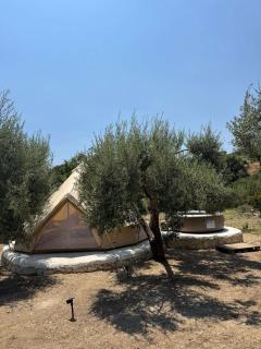 Camping Fiori di Noto - 8