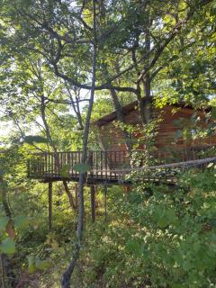 Cabane de la Bannette - Magnifique cabane dans les arbres, vue panoramique - Thoard - 0