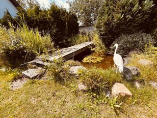 Ferienhaus Brise - Skipper's Kabine - 1
