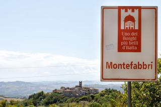 Italian Experience-La Pineta Holiday Homes - Monte Fabbri - 9