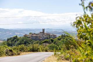 Italian Experience-La Pineta Holiday Homes - Monte Fabbri - 8