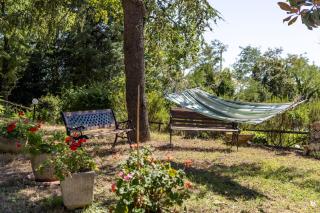 Italian Experience-La Pineta Holiday Homes - Monte Fabbri - 5