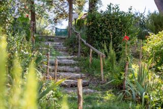 Italian Experience-La Pineta Holiday Homes - Monte Fabbri - 4