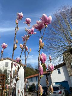 Au Cœur de Charroux - Charroux - 4