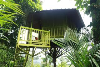 Mountain Shadows - 5