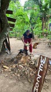 Organic Food Forest And Camp - Hohoe - 1